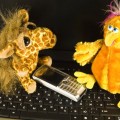 Gadget, Foto: Photoxpress