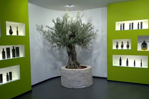 terra istriana trgovina