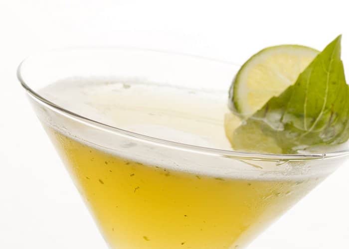 gin koktel