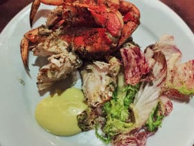 salata od cikorije