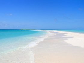 maldivi