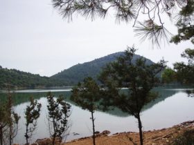 jezero na dugom otoku