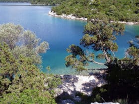 Mljet uvala