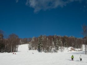 skijaši na planini