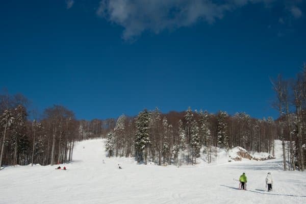 skijaši na planini