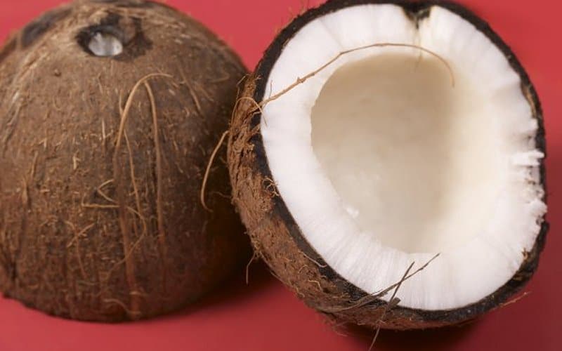 kokos na slici