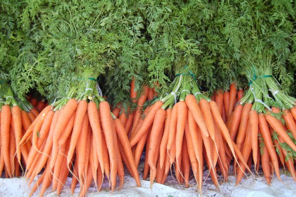 zdrava namirnica mrkva