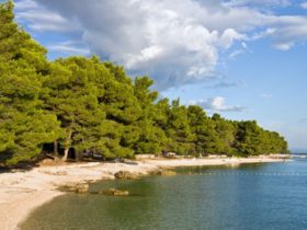 plaža u baškoj vodi