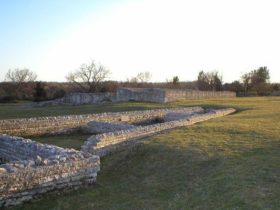 vizače