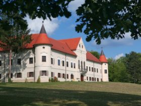 dvorac lužnica