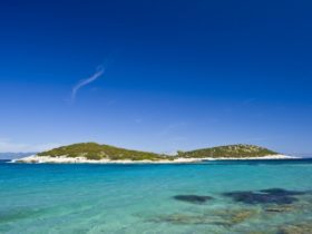 plaža kod lastova