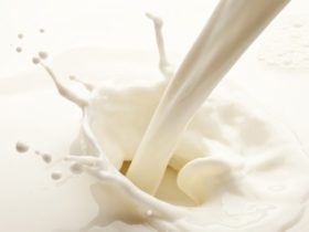 probiotici