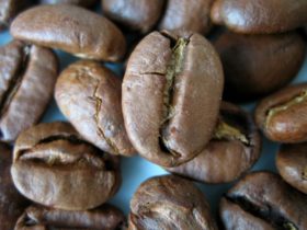 Kava