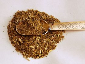 Yerba_mate