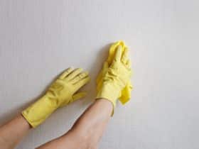 čišćenje rukavicama