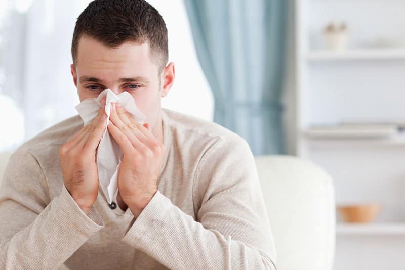kako izbjeci alergije