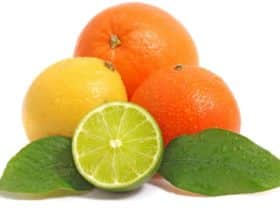 namirnice bogate c vitaminom
