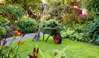 kako naoštriti škare za vrt