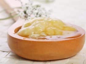 agar agar