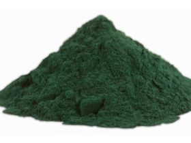 Spirulina