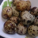prepeličja jaja