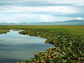 klamatsko jezero