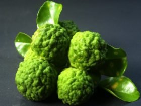 bergamot