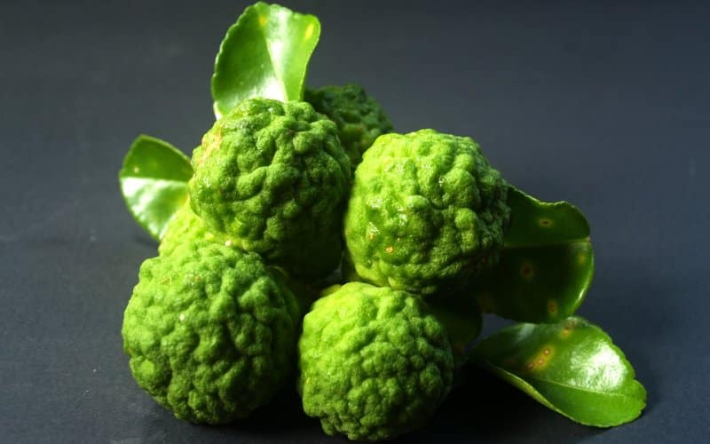 bergamot