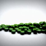 Chlorella-tablete