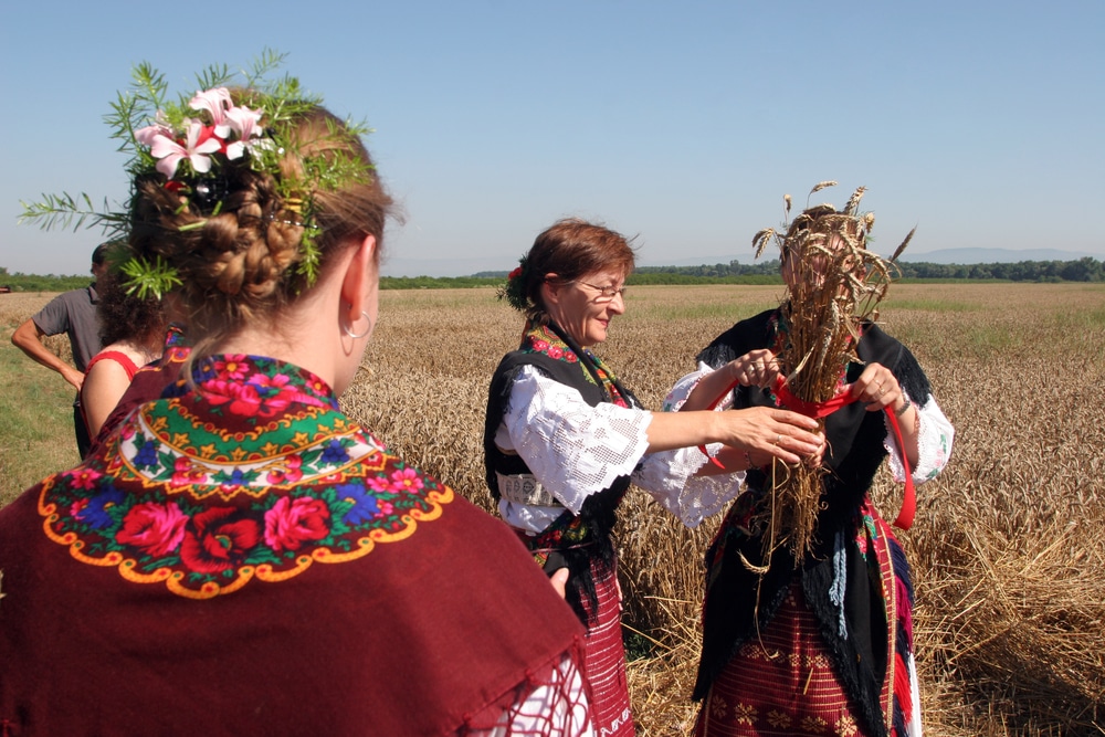 tlačenica je dio bogate slavonske tradicije